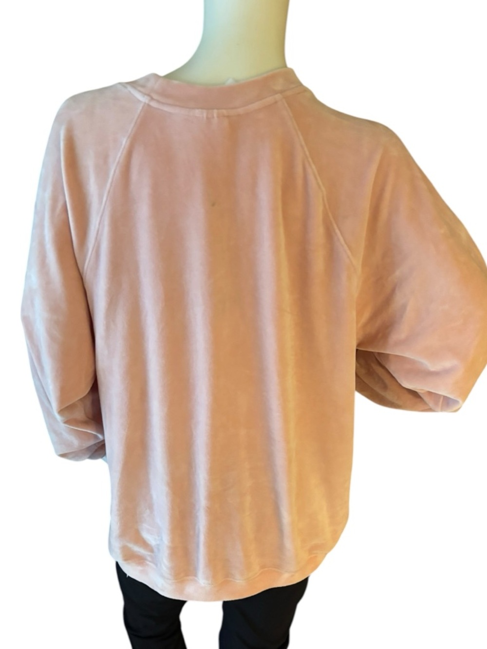 Disney Pale Pink Beauty and the Beast Velvet Crewneck Sweatshirt, M - Picture 10 of 10